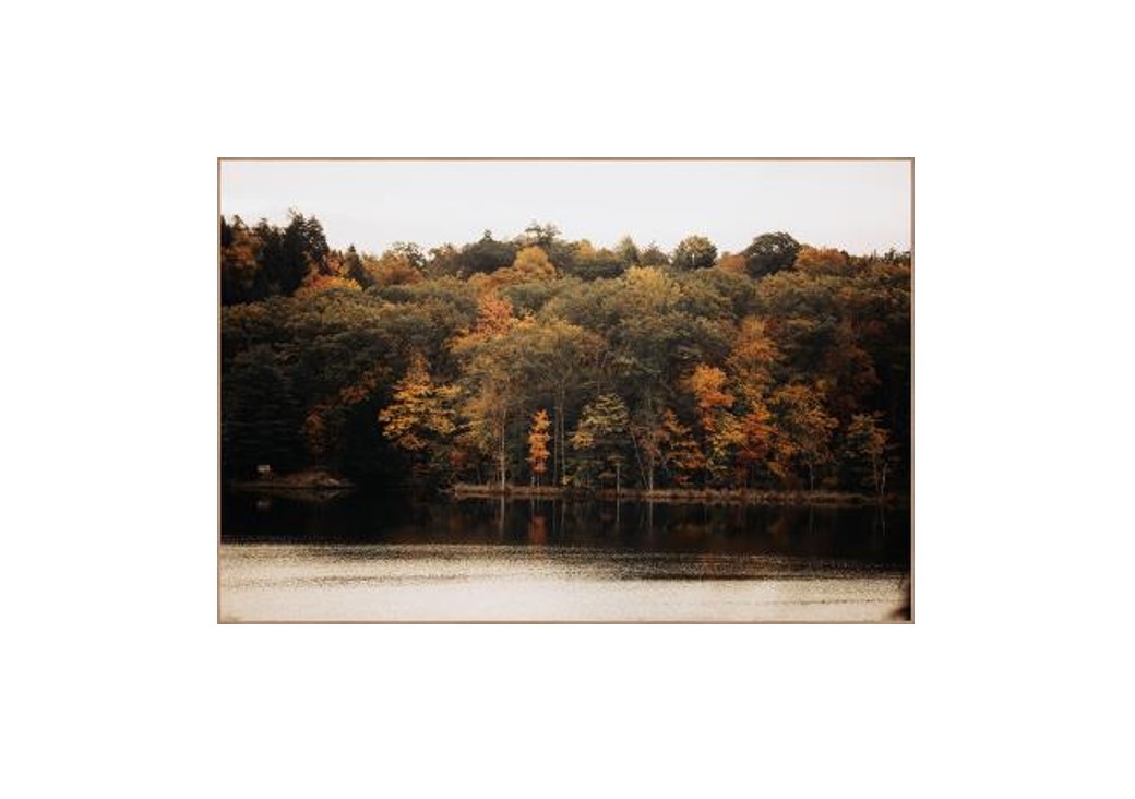 Whispers of Autumn